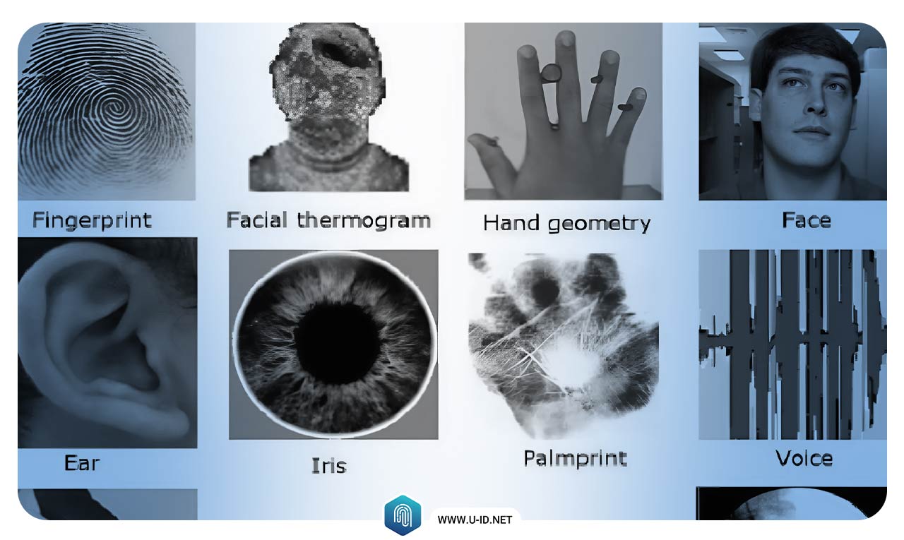 انواع بیومتریک